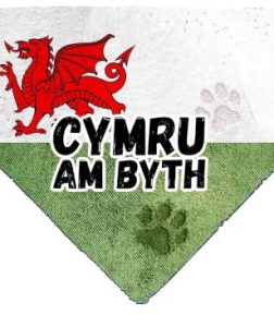 Wales Dog Bandana, Cymru Am Byth, Grunge Style with Dragon Slide on Collar bandana for pets