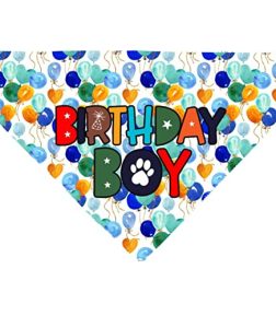 Birthday Boy Dog Bandana Slide on Collar, Puppy Birthday Scarf, Cat Bandana, Funny Neckpiece for Pets