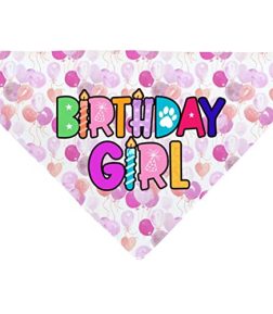 Birthday Girl Dog Bandana Slide on Collar, Puppy Birthday Scarf, Cat Bandana, Funny Neckpiece for Female Pets