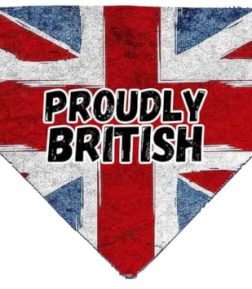 Union Jack Dog Bandana, British Slide on Collar, UK flag Custom Pet Bandana,Patriotic Neckpiece for Pets