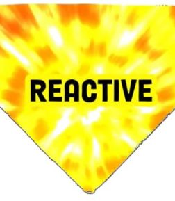 Reactive Dog Bandana, Slide on Collar, Yellow Neckpiece for Pets